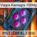 Viagra Kamagra 100Mg 04